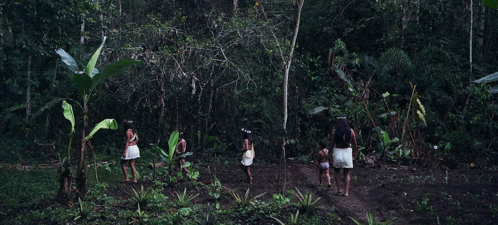 Ur-Einwohner des Amazonas-Regenwalds Ecuador