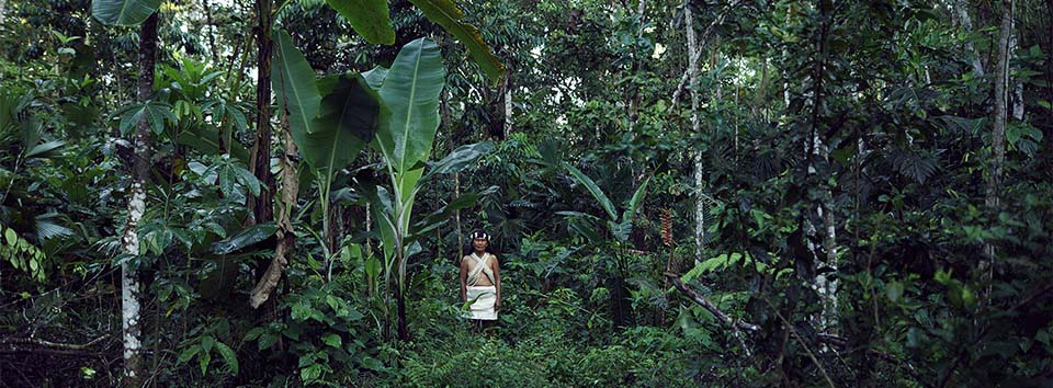 Ur-Einwohner des Amazonas-Regenwalds Ecuador